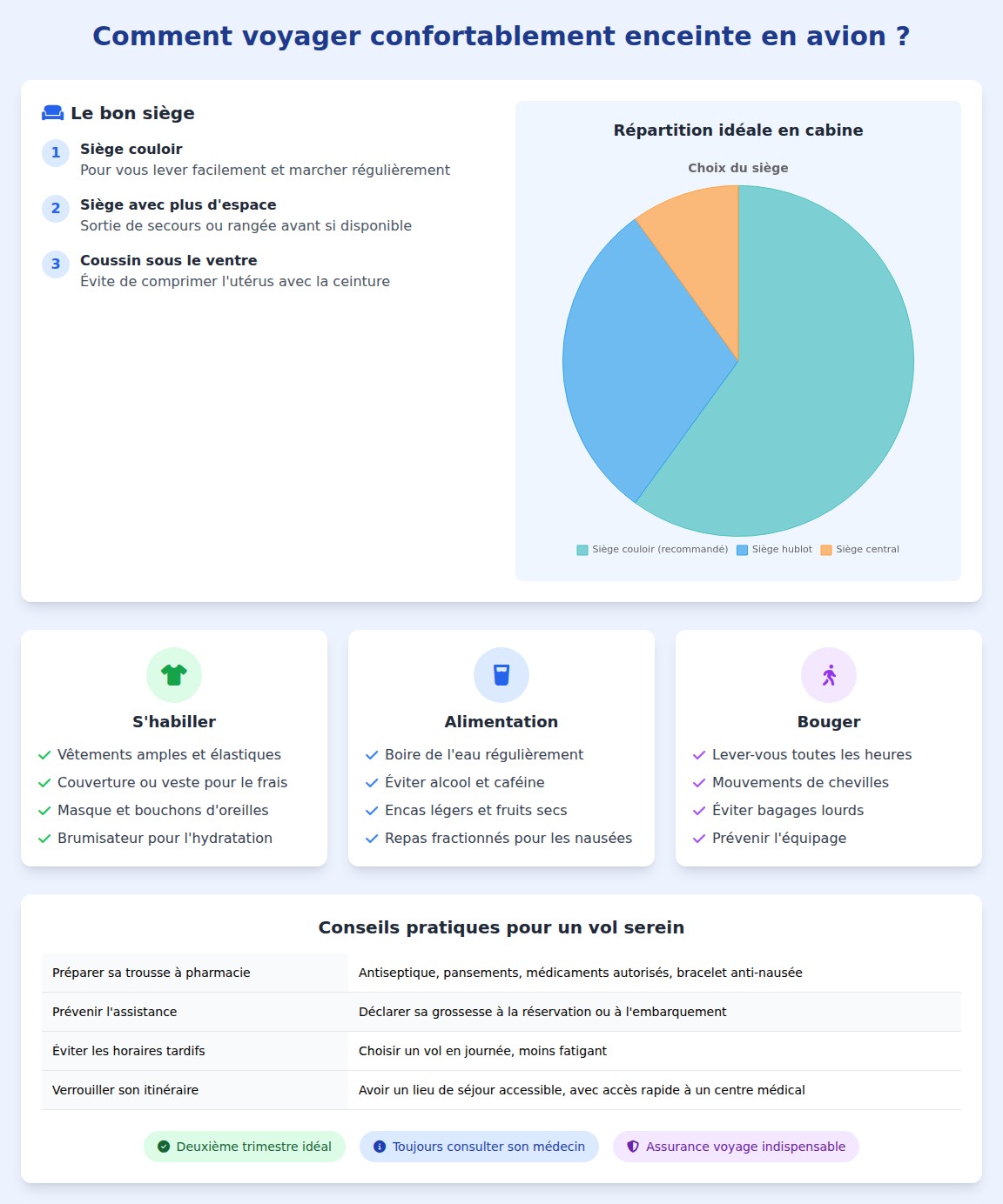 Infographie conseils voyage femme enceinte